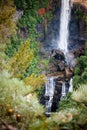 Vertical shot of Fitzroy Falls in the beautiful Morton National park, Australia Royalty Free Stock Photo