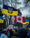 Vertical shot of flags and banners during Ukraine support rally in London, Ontario, Canada