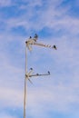 Vertical shot of flock of birds on a TV antenna against stunning blue sky in Valenca