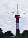 Vertical shot of a flock of wild geese flying near a lighhouse