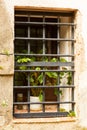 Vertical shot of a flower pot on a black grille window Royalty Free Stock Photo