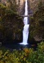 Vertical shot of the flowing Multnomah Falls, Columbia River Gorge, Oregon Royalty Free Stock Photo