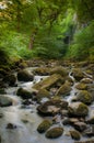 Vertical shot of a flowing river stream with green mossy rocks in a forest Royalty Free Stock Photo