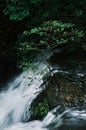 Vertical shot flowing waterfall falling from rocks surrounded by trees Royalty Free Stock Photo