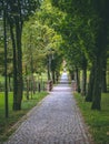 Vertical shot of a footpath in a green scenic park in Germany