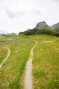 Vertical shot of a footpath in the middle of beautiful Austrian Hills Royalty Free Stock Photo
