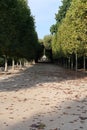 Vertical shot of a footpath passing through trees in the Garden of Plants in Paris Royalty Free Stock Photo