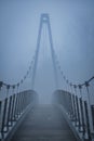Vertical shot of a footpath on a suspension bridge on a foggy day.