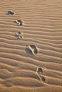 Vertical shot of footprints on sand dune.