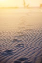 Vertical shot of footprints in a sandy shore with a bright background - concept footprint poem