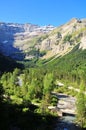Vertical shot of the forest against the background of mountains.Cirque de Gavarnie, France. Royalty Free Stock Photo