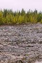 Vertical shot of a forest on the shore of a dried-out lake with stones on the ground