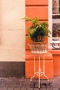 Vertical shot of a forged flower stand with beautiful green flowers decorating the sidewalk