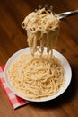 Vertical shot of a fork taking a portion of a tasty spaghe