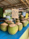 Vertical shot of fresh coconuts in the Thailand fruit market with price tags on Royalty Free Stock Photo