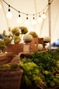 Vertical shot of the Fresh food Oranjezicht market Cape Town, South Afric Royalty Free Stock Photo