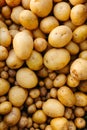 Vertical shot of fresh potatoes for sale at a grocery store at a farmers' market Royalty Free Stock Photo