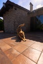 Vertical shot of a funny Golden Retriever stretching under the sun