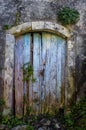 Vertical shot of a garden entrance leading to a beautiful green adventure