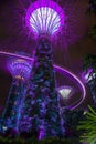 Vertical shot of the Gardens by the Bay surrounded by colorful lights at night in Singapore Royalty Free Stock Photo