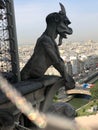 Vertical shot of a gargoyle of Notre Dame de Paris with cityscape in the background Royalty Free Stock Photo
