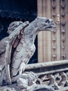 Vertical shot of gargoyles of Notre Dame Cathedral, Paris France