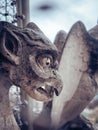 Vertical shot of gargoyles of Notre Dame Cathedral, Paris France