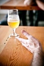 Vertical shot of a glass of beer and a human hand on the table - Friday night concept Royalty Free Stock Photo