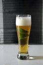 Vertical shot of a glass of cold beer with slices of lime Royalty Free Stock Photo