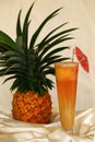Vertical shot of a glass of pineapple juice Royalty Free Stock Photo