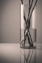 Vertical shot of a glass vase with branches of Bamboo