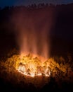 Vertical shot of glowing forest fire at night Royalty Free Stock Photo