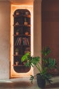 Vertical shot of a glowing illuminated shelf with books and plants in a cafe in Ho Chi Minh, Vietnam