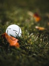 Vertical shot of a golf ball next to a fallen orange leaf on green grass with blurred background. Royalty Free Stock Photo