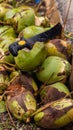 Vertical shot of green coconuts with a knife Royalty Free Stock Photo