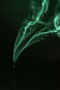 Vertical shot of the green smoke trails swirling on the black background Royalty Free Stock Photo