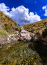 Vertical shot of a green stagnant river in the Sierra of Peru Royalty Free Stock Photo