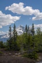 Vertical shot of green trees with a background of Gaustad Mountain in spring in Rjukan, Norway Royalty Free Stock Photo