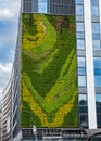 Vertical shot of greenery on the side of a tall modern building in Katowice, Poland