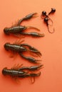 Vertical shot of a group of fishing lures on orange background