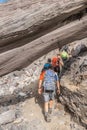 Vertical shot of a group of young hikers walking below a burnt forest trunk around the Volcanic cone in the danger zone in the