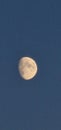 Vertical shot of a half moon illuminating the dark blue sky Royalty Free Stock Photo