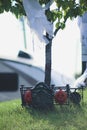 Vertical shot of a Halloween park decor with pumpkins Royalty Free Stock Photo