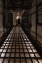 Vertical shot of hallway in Romanesque Revival apartment building Royalty Free Stock Photo