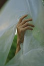 Vertical shot of a hand lifting a plastic curtain, artsy aesthetic