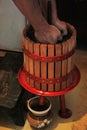 Vertical shot of hand squishing grapes in a wooden wine squeezer