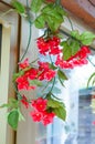 Vertical shot of hanging fake flowers in a basket Royalty Free Stock Photo