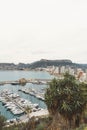 Vertical shot of a a harbot full of boats and yatchs with coastline buidings and mountains