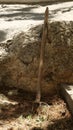 Vertical shot of hayfork in the farm