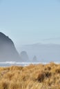 Vertical shot of the Haystack Rock in the morning fog at Cannon Beach, Oregon Royalty Free Stock Photo